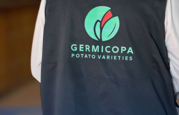 492141453 1237469205053635 2267532836234249497 n 70a4d3e8